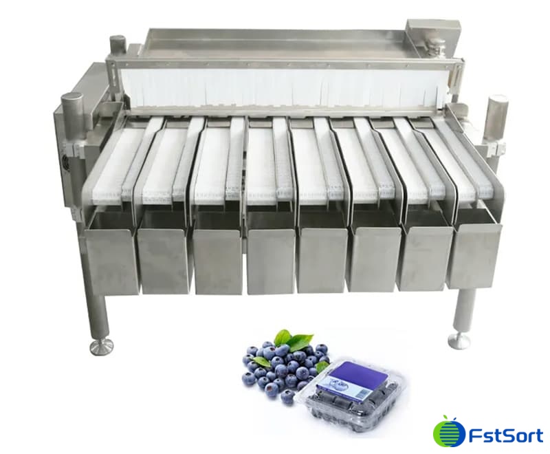 Máquina envasadora de arándanos.jpg Máquina envasadora de arándanos.jpg